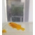 Gobiodon okinawae